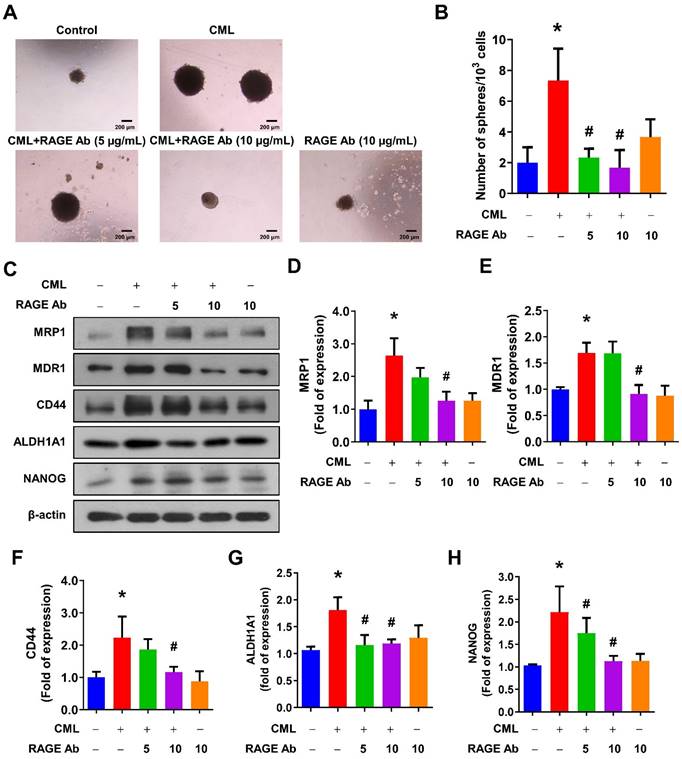 Int J Biol Sci Image