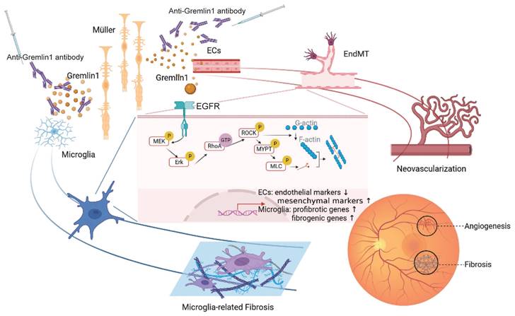 Int J Biol Sci Image