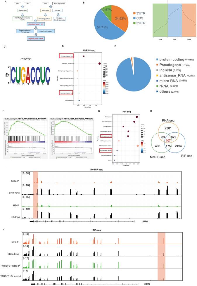 Int J Biol Sci Image