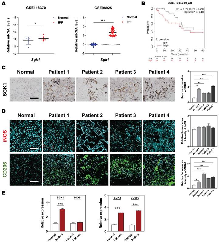 Int J Biol Sci Image