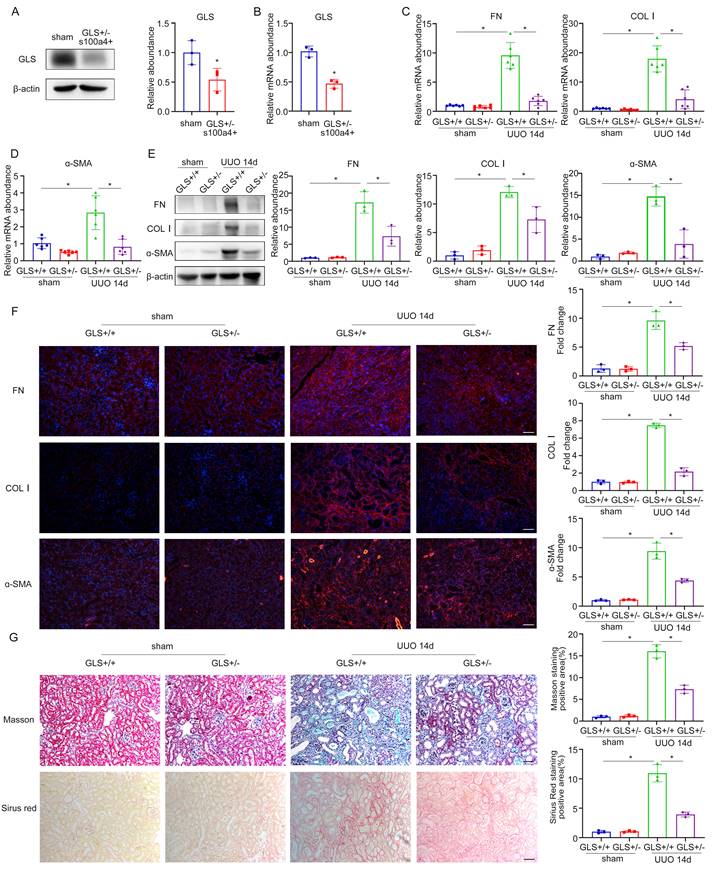 Int J Biol Sci Image