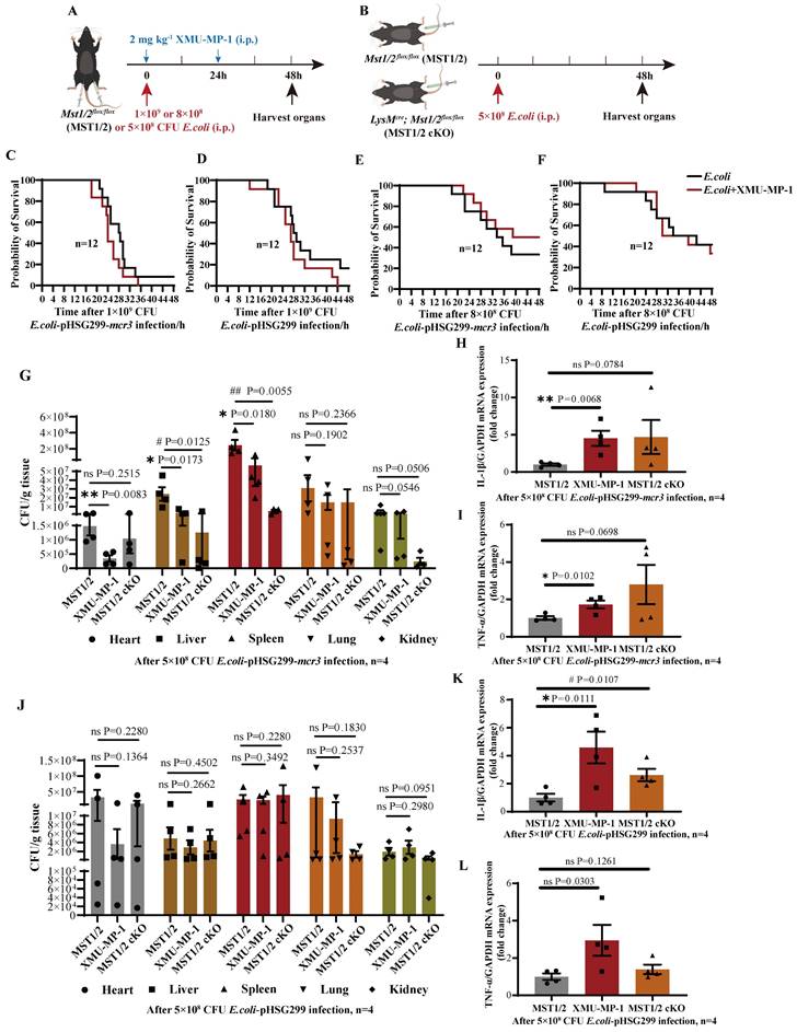 Int J Biol Sci Image