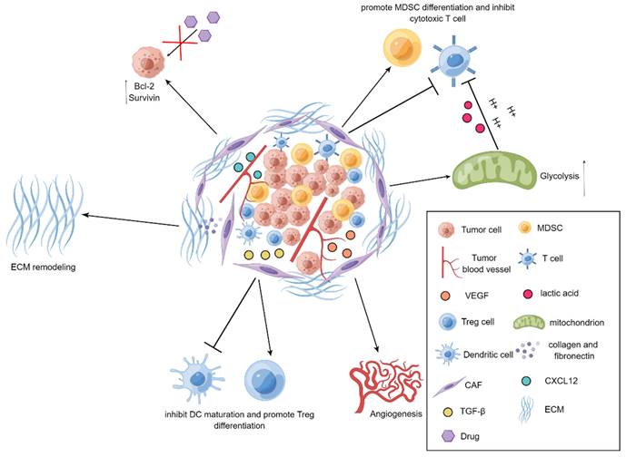 Int J Biol Sci Image