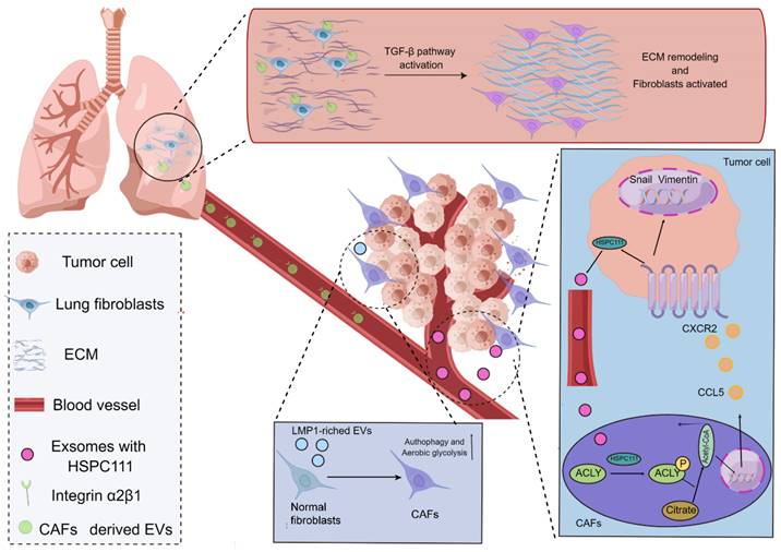 Int J Biol Sci Image