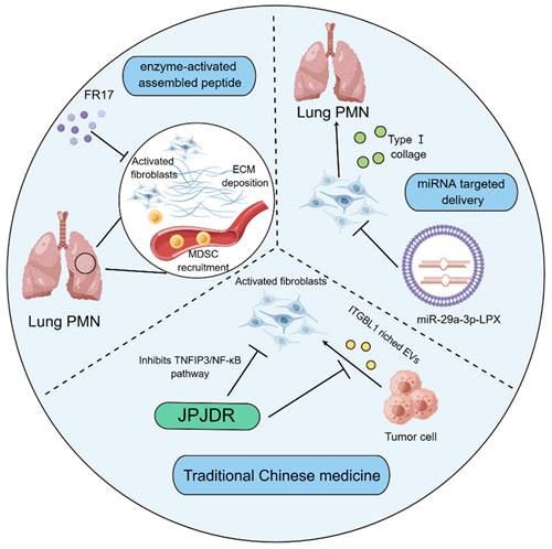 Int J Biol Sci Image