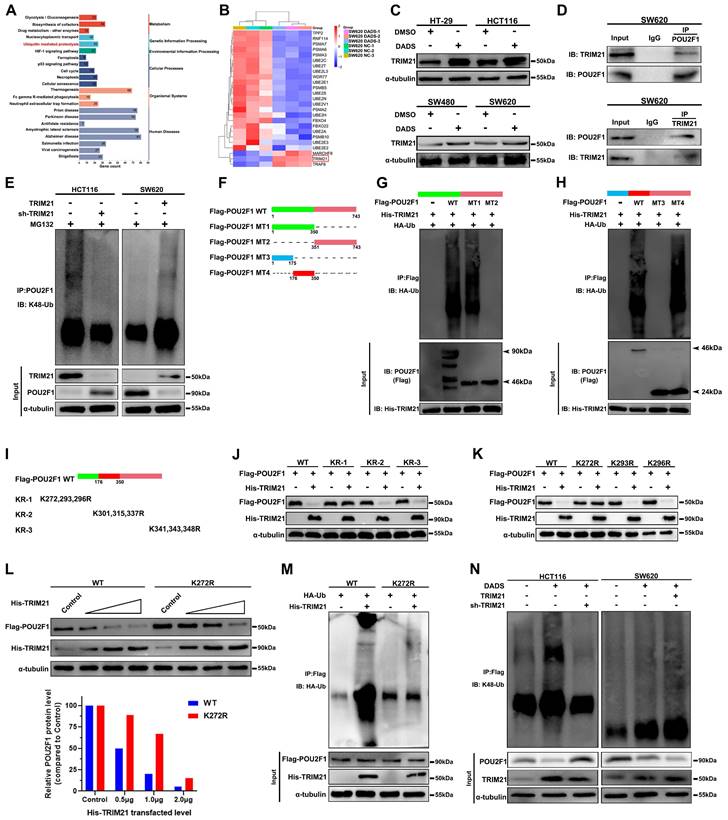 Int J Biol Sci Image