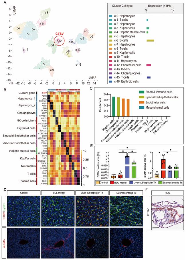 Int J Biol Sci Image