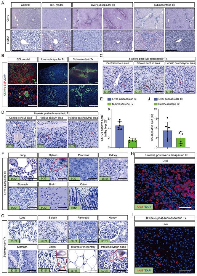 Int J Biol Sci Image