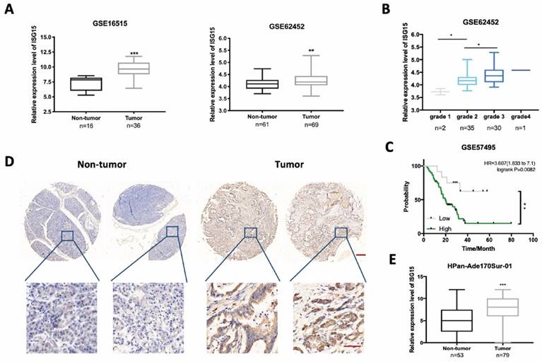 Int J Biol Sci Image