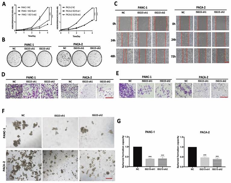 Int J Biol Sci Image