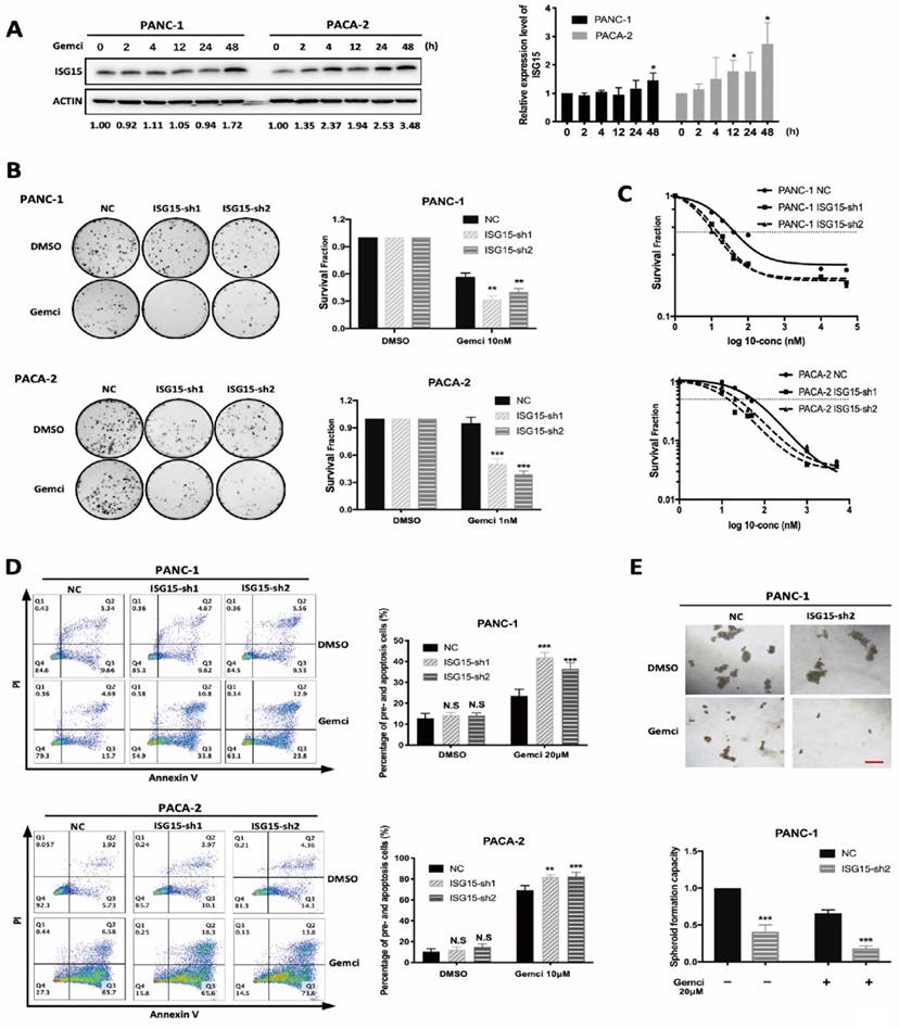 Int J Biol Sci Image