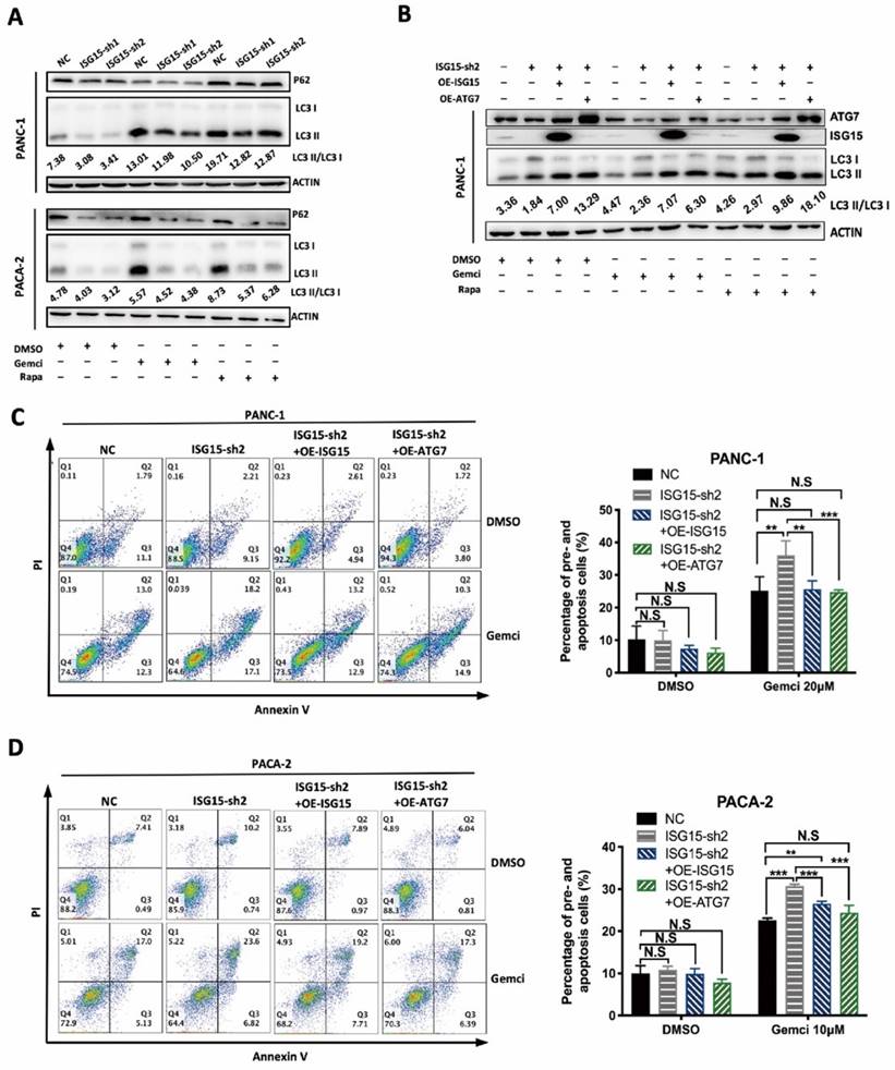 Int J Biol Sci Image