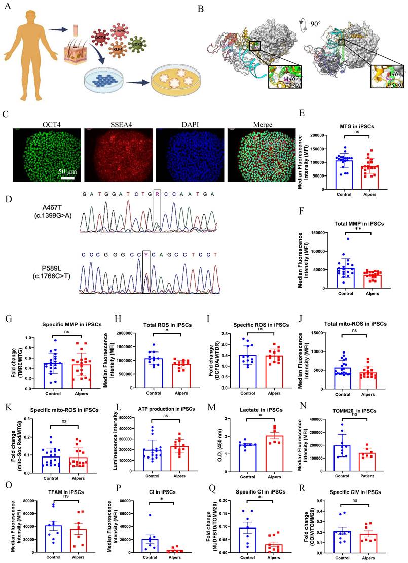 Int J Biol Sci Image