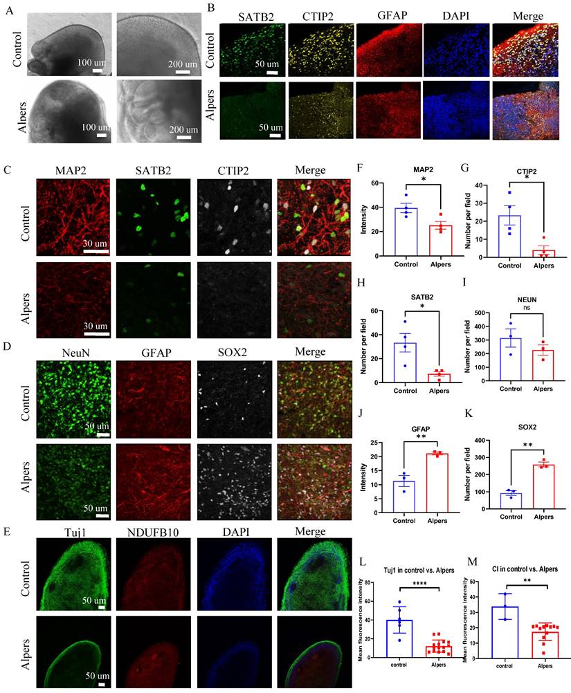 Int J Biol Sci Image