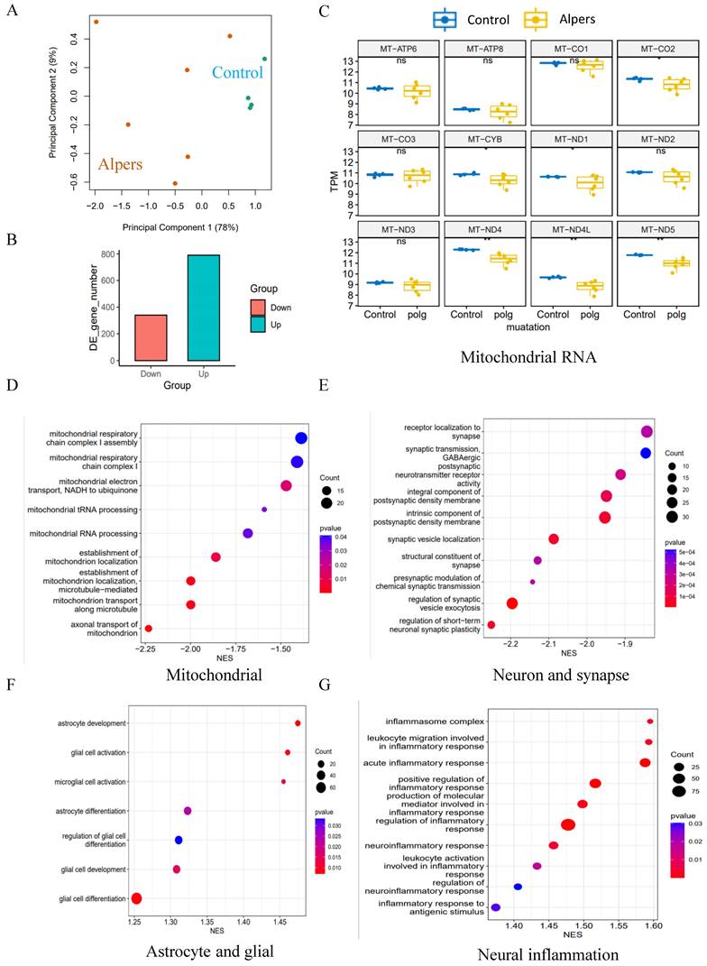 Int J Biol Sci Image