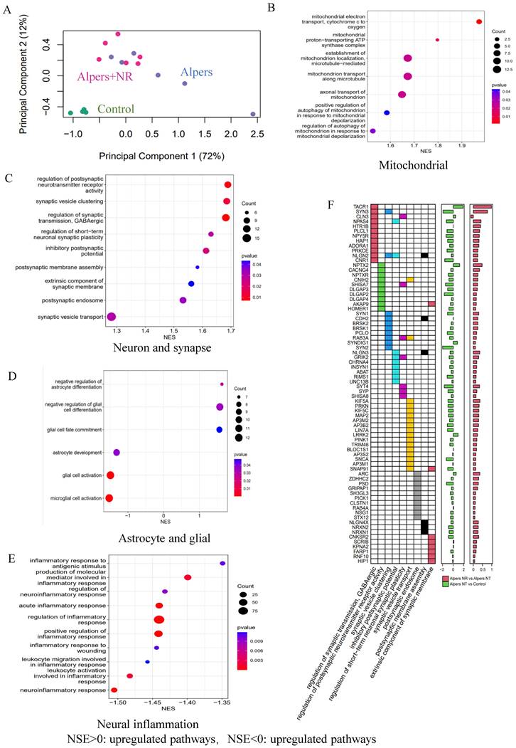 Int J Biol Sci Image