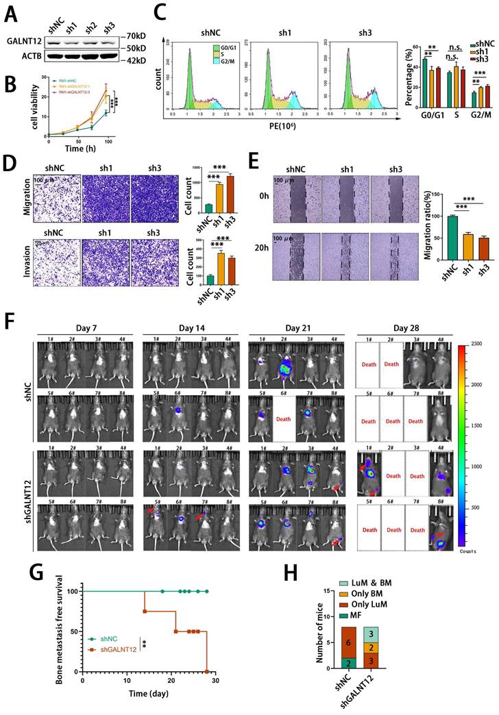 Int J Biol Sci Image