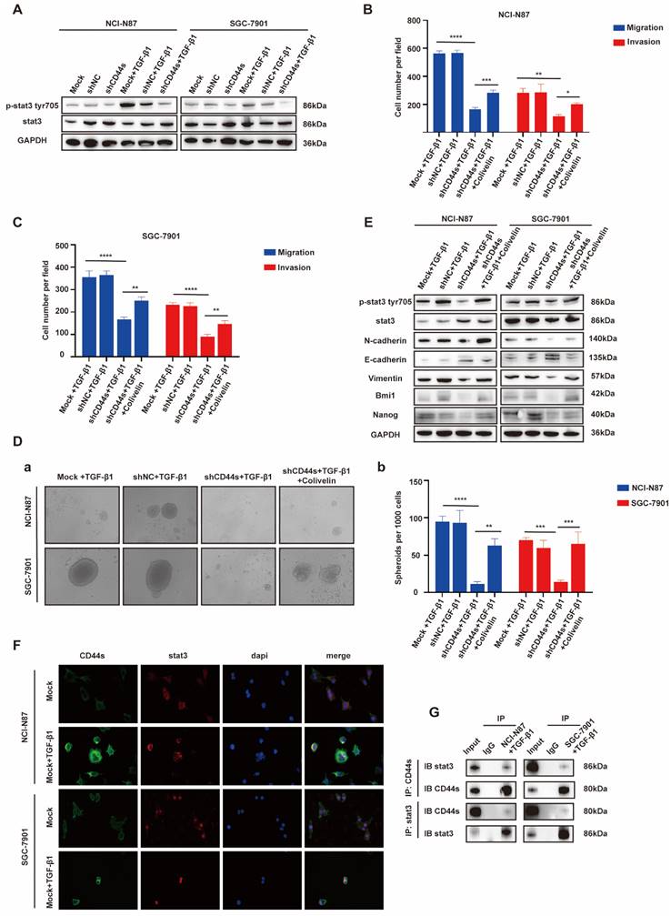 Int J Biol Sci Image