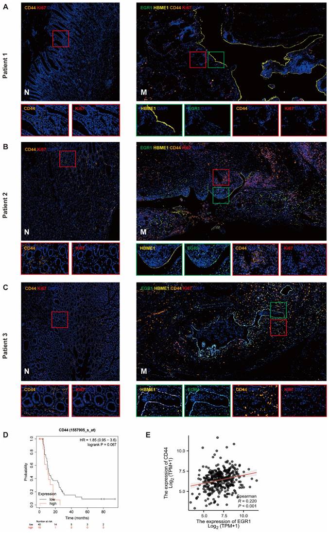 Int J Biol Sci Image