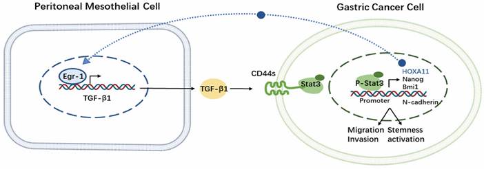 Int J Biol Sci Image