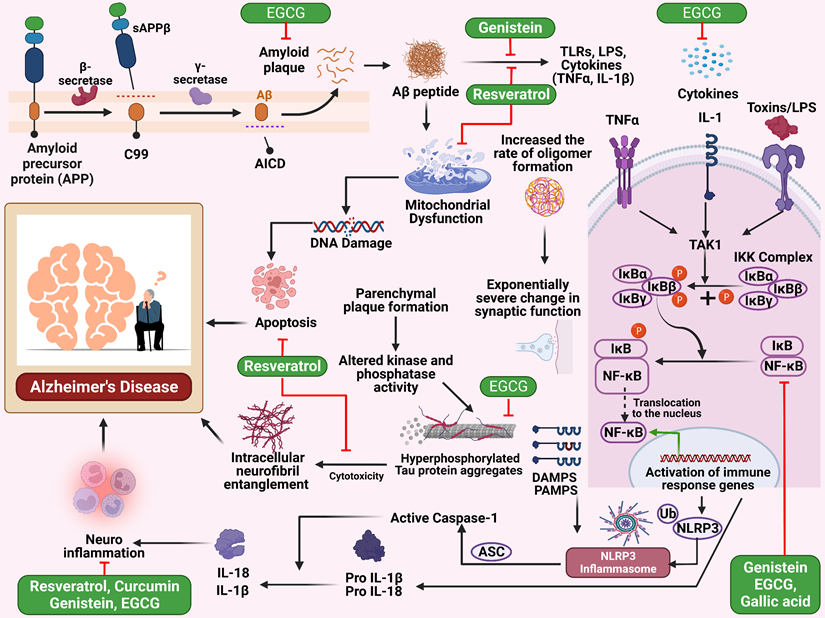 Int J Biol Sci Image