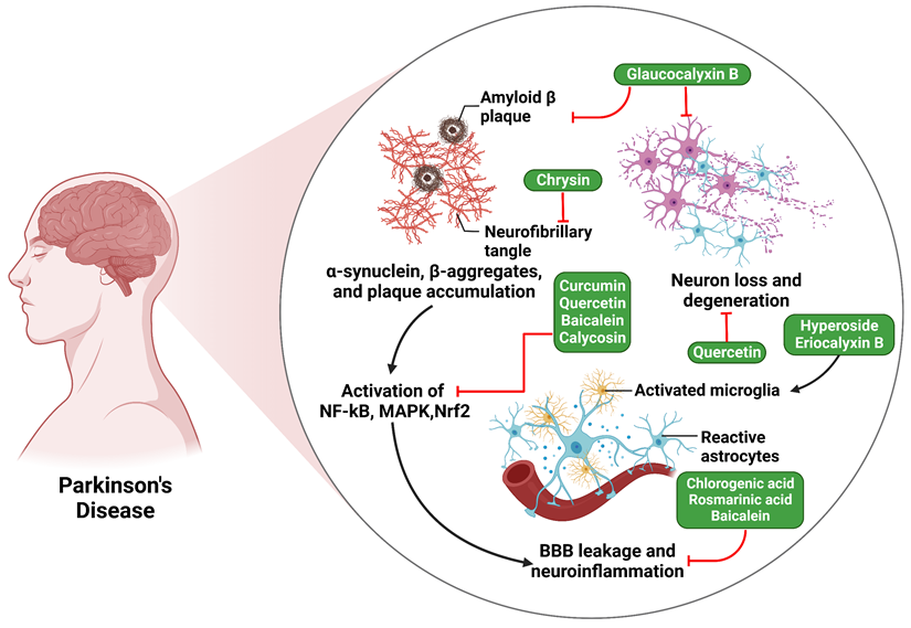 Int J Biol Sci Image