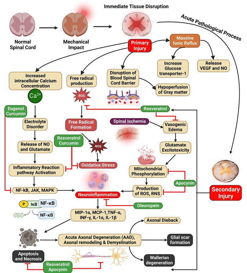 Int J Biol Sci Image