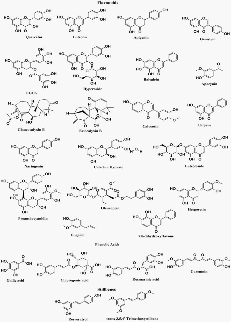 Int J Biol Sci Image