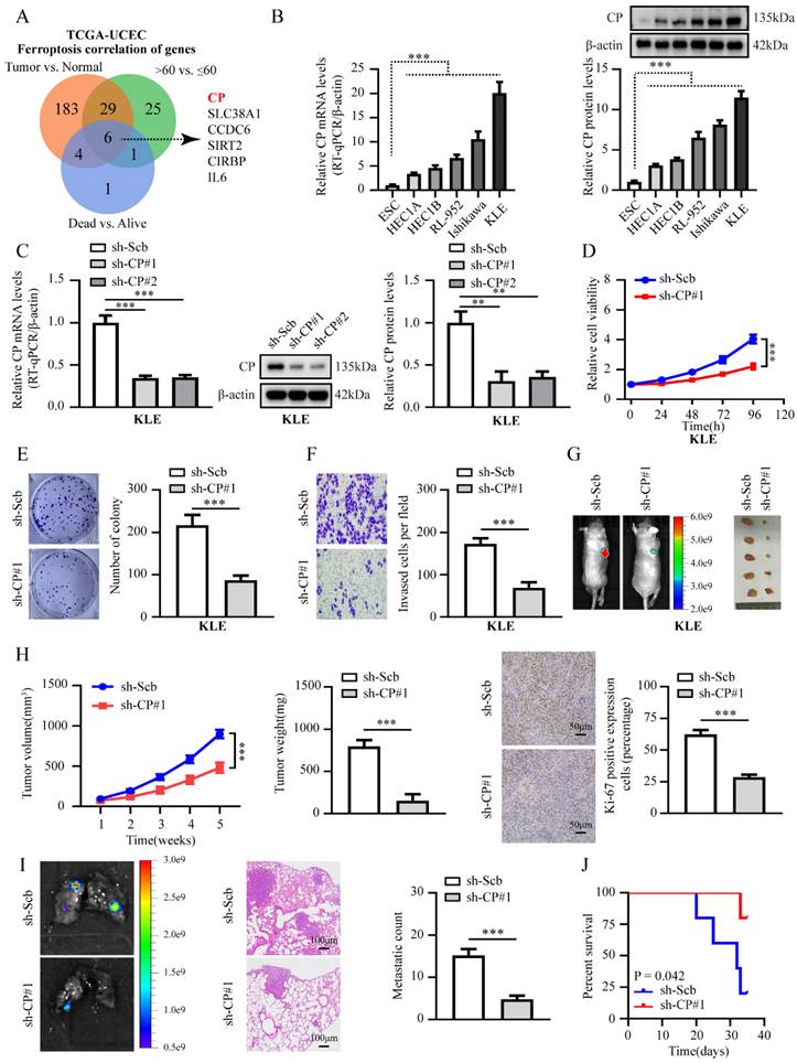 Int J Biol Sci Image