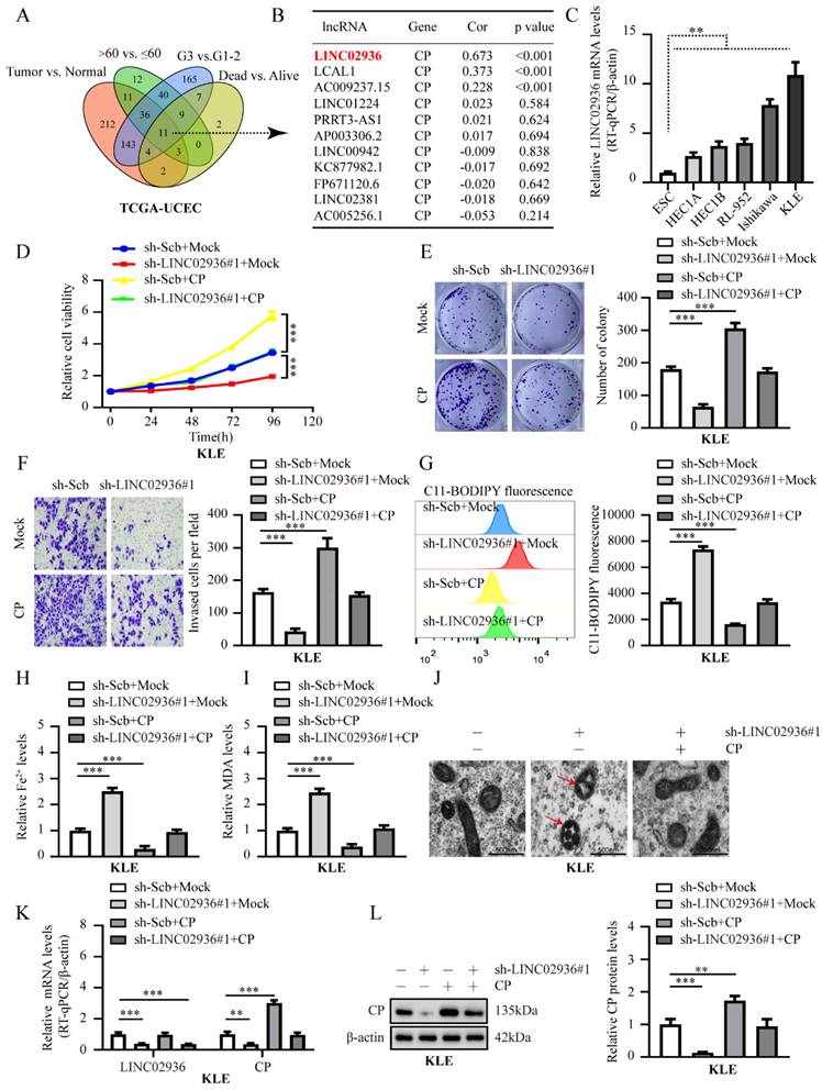 Int J Biol Sci Image