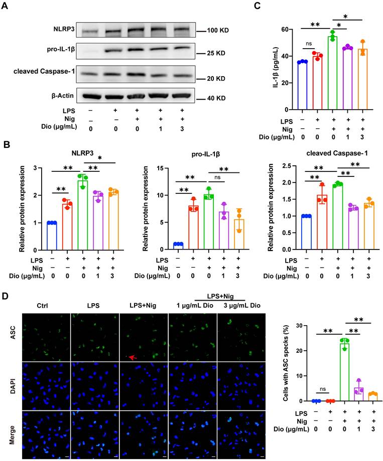 Int J Biol Sci Image