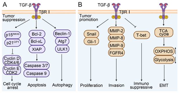 Int J Biol Sci Image