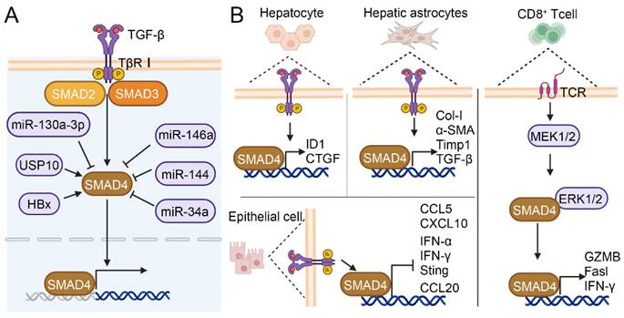 Int J Biol Sci Image