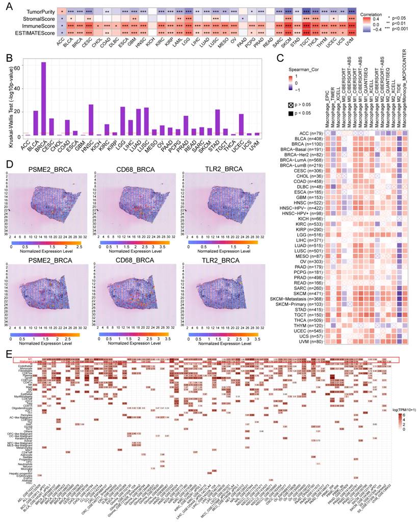 Int J Biol Sci Image