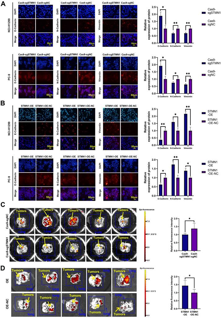 Int J Biol Sci Image