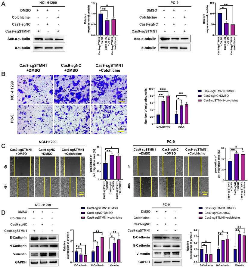 Int J Biol Sci Image