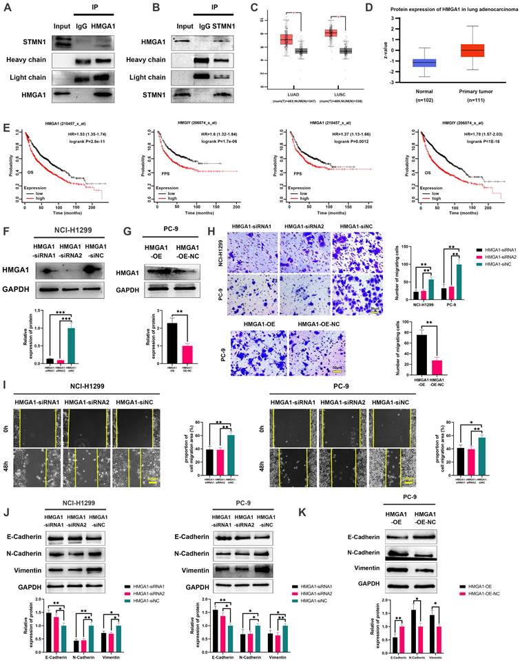 Int J Biol Sci Image