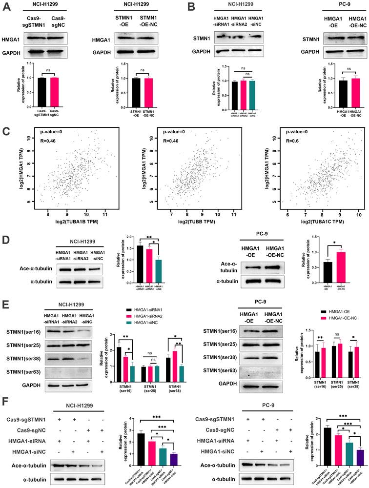 Int J Biol Sci Image