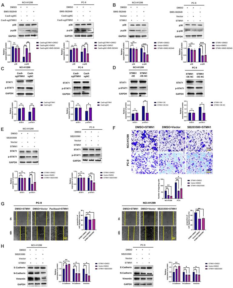 Int J Biol Sci Image