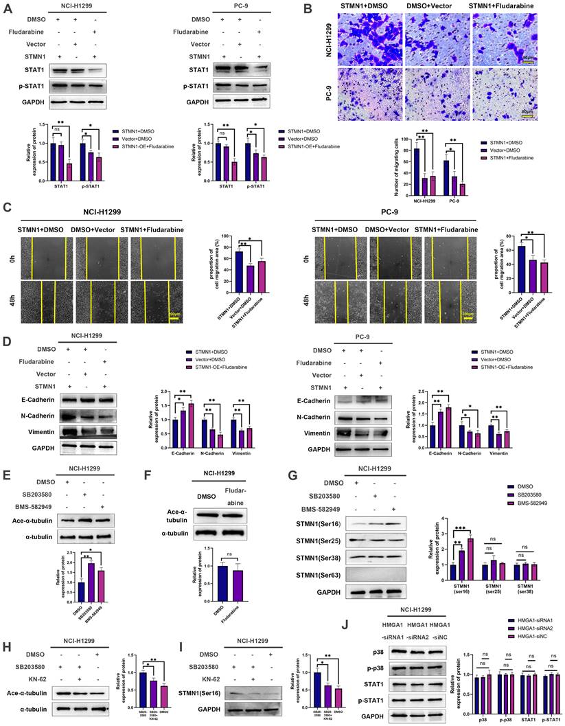 Int J Biol Sci Image