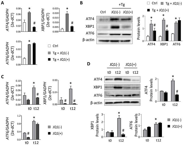 Int J Biol Sci Image