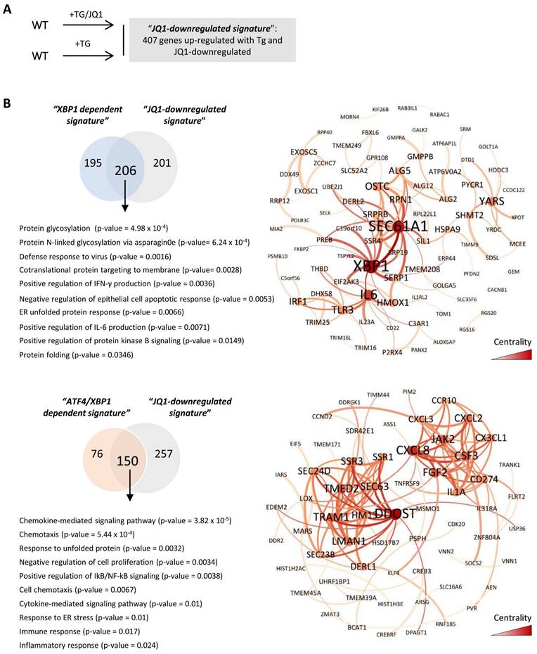 Int J Biol Sci Image