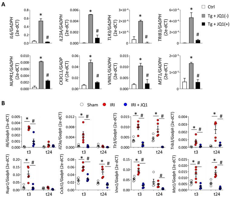 Int J Biol Sci Image