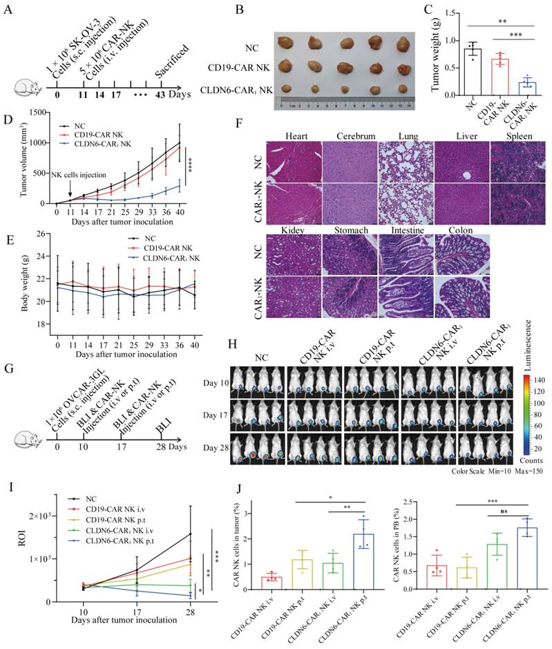 Int J Biol Sci Image