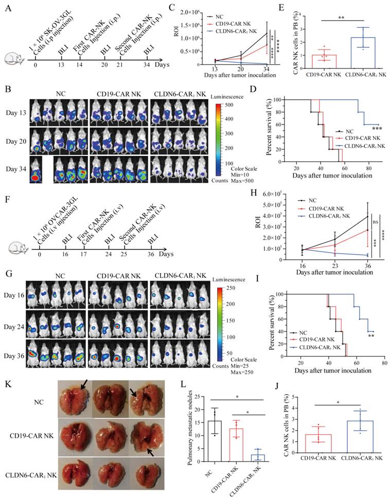 Int J Biol Sci Image