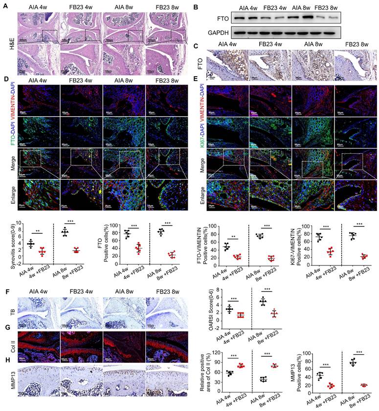 Int J Biol Sci Image