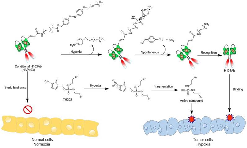 Int J Biol Sci Image