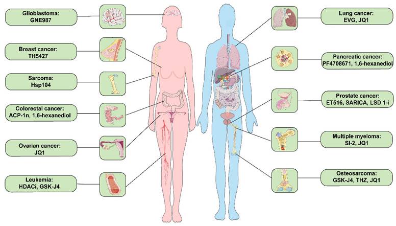 Int J Biol Sci Image