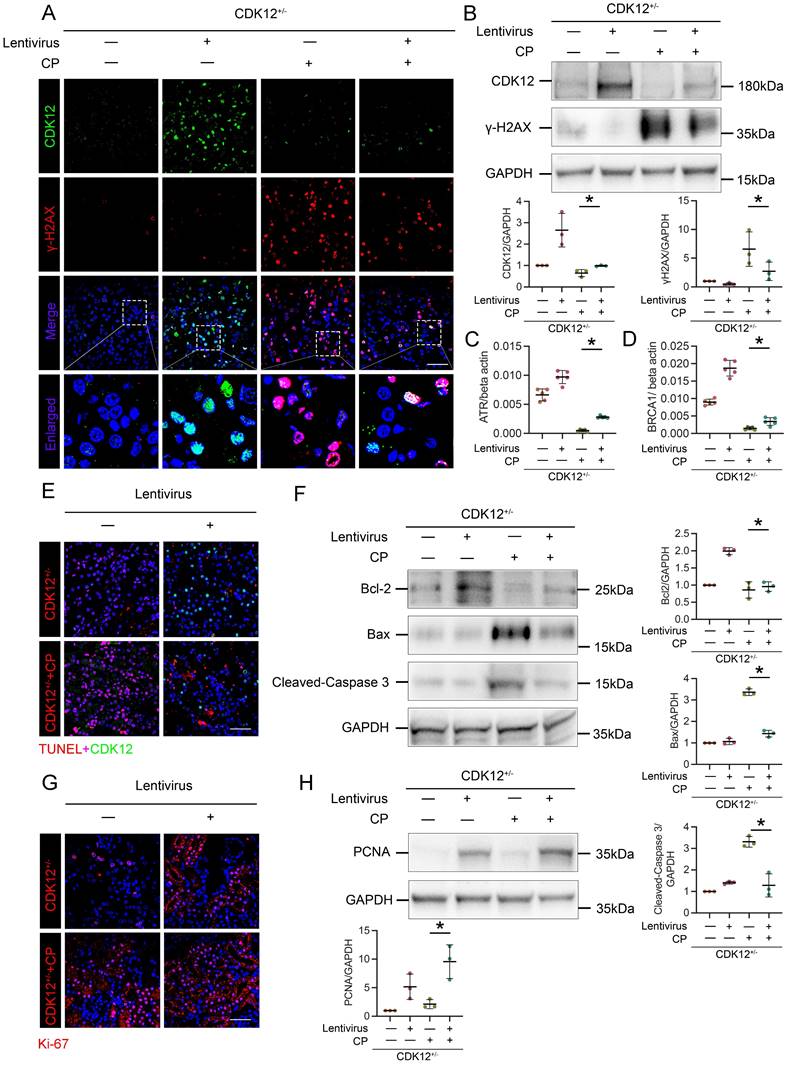 Int J Biol Sci Image