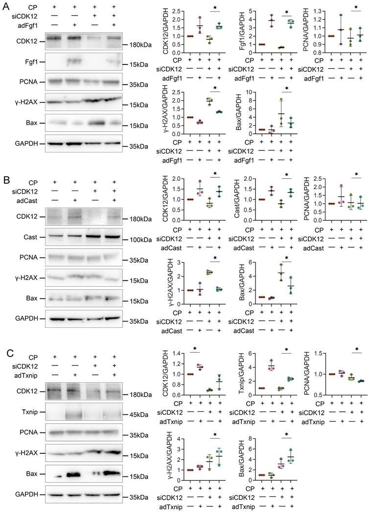 Int J Biol Sci Image